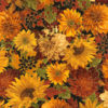 Autumn Harvest