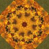 Autumn Harvest 3