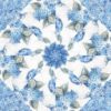 spring blue 6