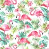 flamingos watercolor