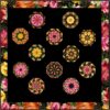 12-5 Scattered Felicity
