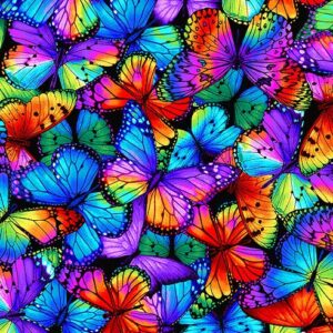Butterfly Magic Packed Butterflies