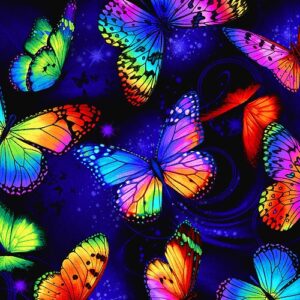 butterfly magic butterflies