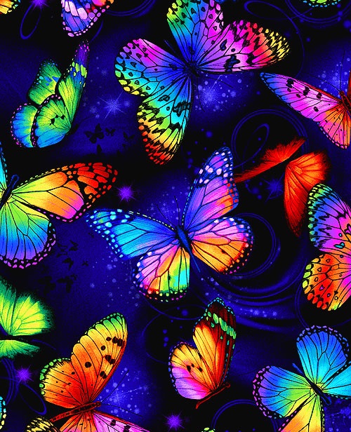 butterfly majic butterflies