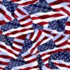 usa flags