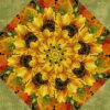 h sunflower 1