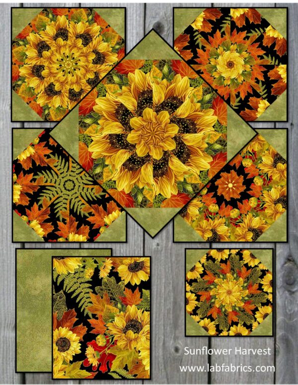 h sunflower collage