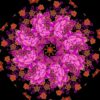 opulant floral s1