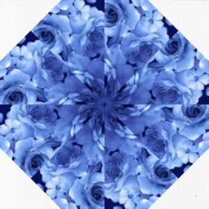 blue fleur s 2