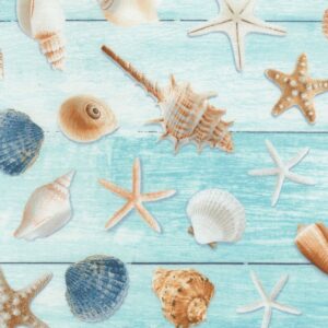 Sea Shells on Wood