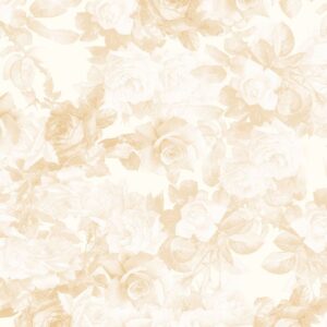 ROSE-CD1725-CREAM