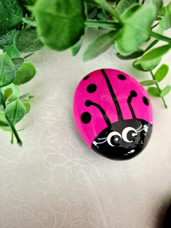 pink ladybug