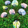 painted lady bug rocks
