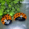 orange painted ladybug rocks