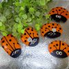 orange painted ladybug rocks