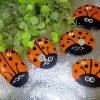 orange painted ladybug rocks