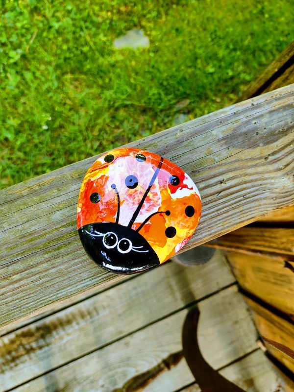 painted ladybug rock, rock gift