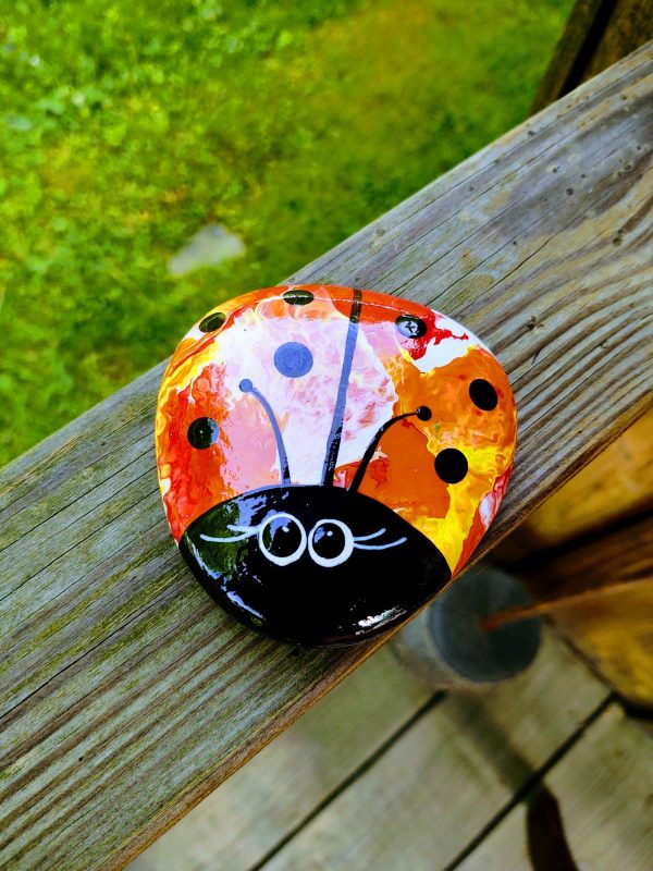 painted ladybug rock, rock gift