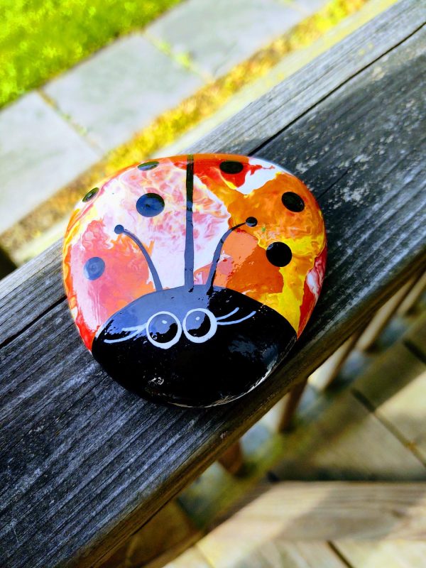 painted ladybug rock, rock gift