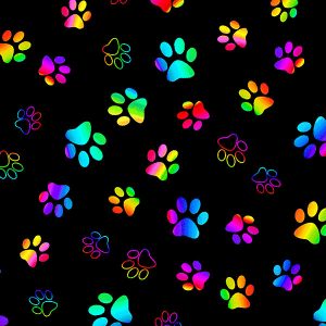 rainbow wildcats paw print fabric