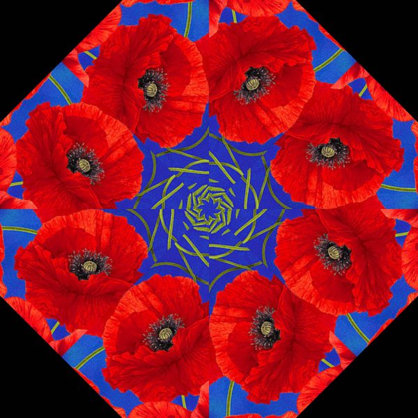 pre cut quilt kit poppies