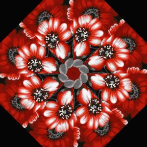 Scarlet Days & Nights / RW&B Pre-Cut Kaleidoscope Kit (12-5" Blocks)