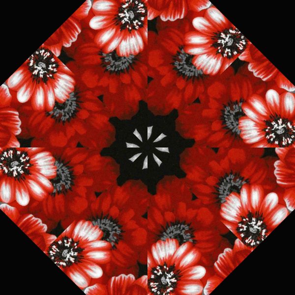 Scarlet Days & Nights 30 Pre-Cut Kaleidoscope Quilt Kit - Image 9