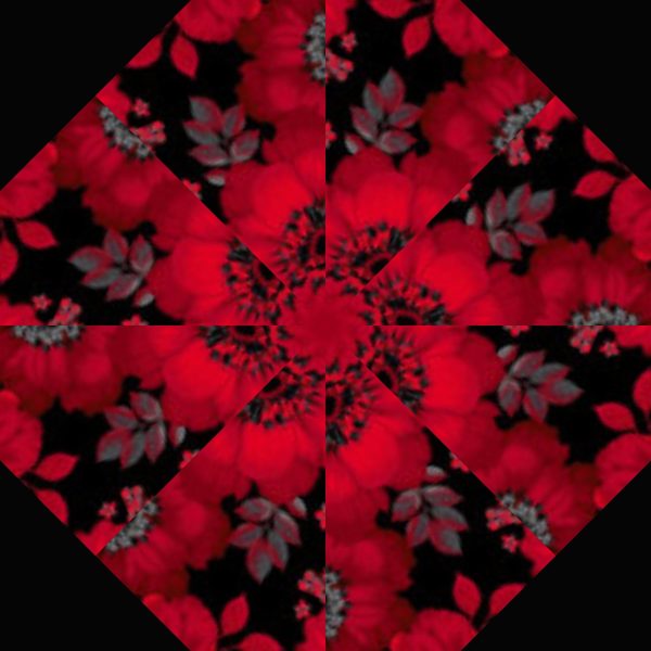 Scarlet Days & Nights Complete Pre-Cut Kaleidoscope Quilt Kit - Image 3