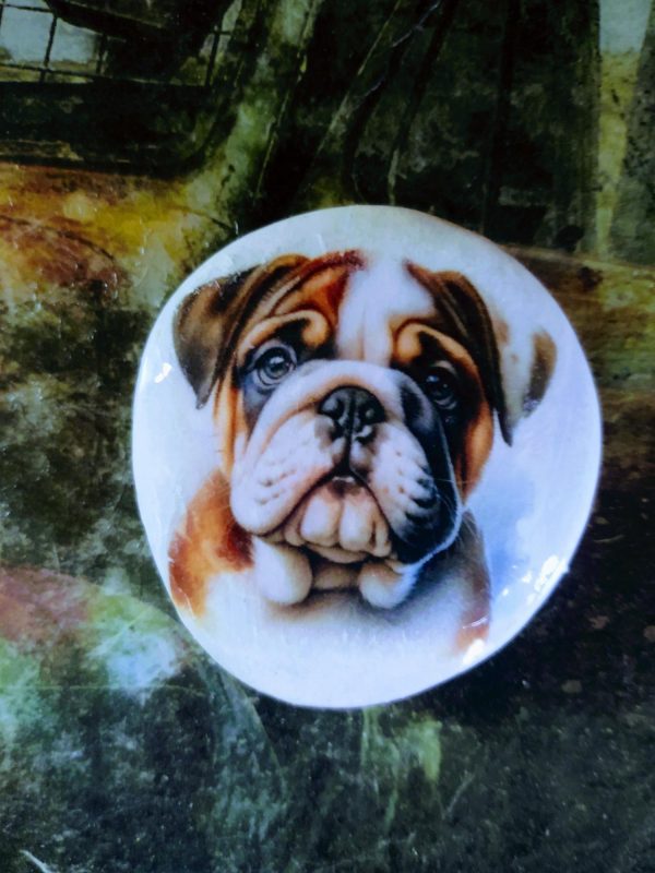 hand painted rock, dog rock