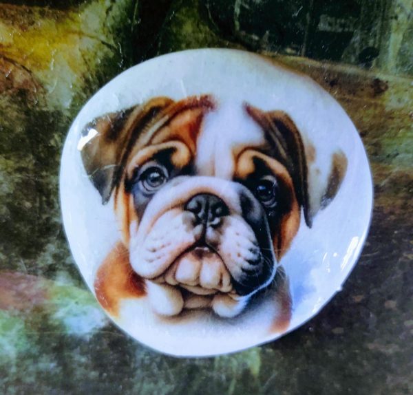 hand painted rock, dog rock