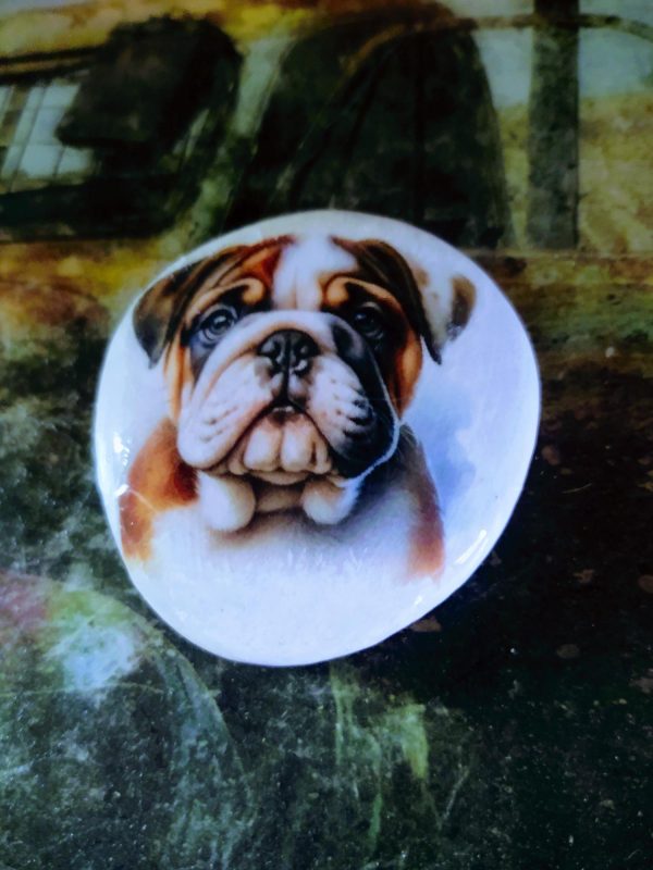 hand painted rock, dog rock