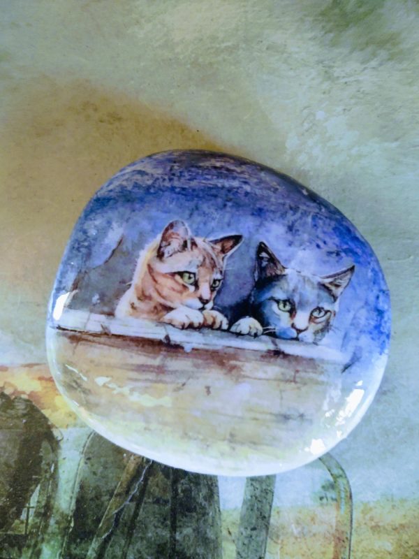 Hand Painted Rock - Curious Cats