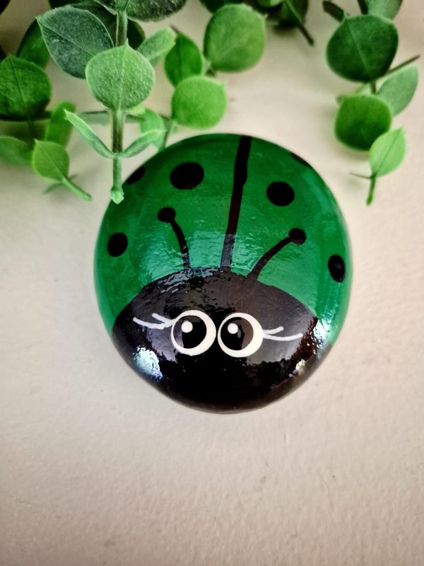 lady bug rock, ladybug gift, friendship gift, get well gift,