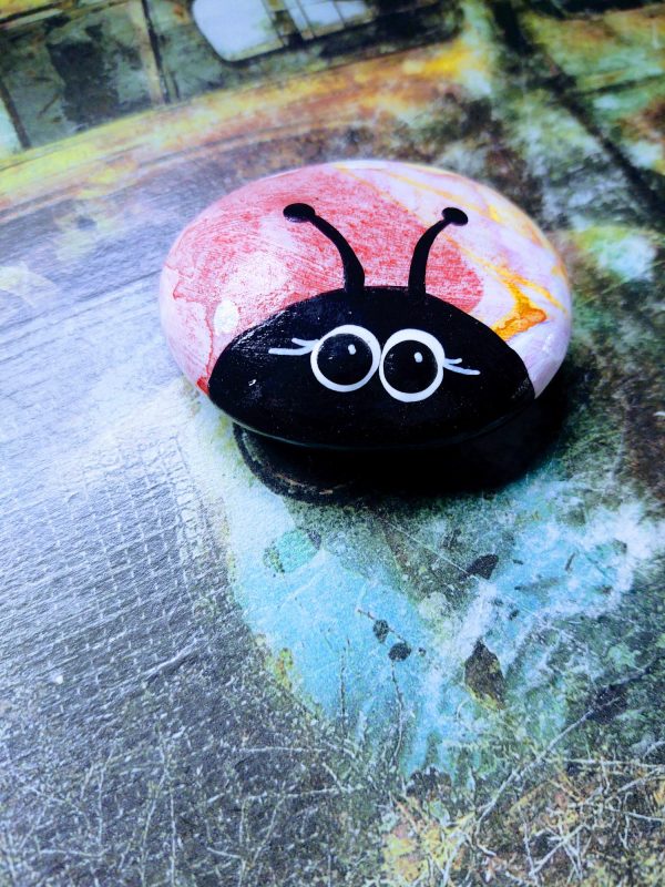 Painted Lady Bug Rocks - Marbled - Image 8