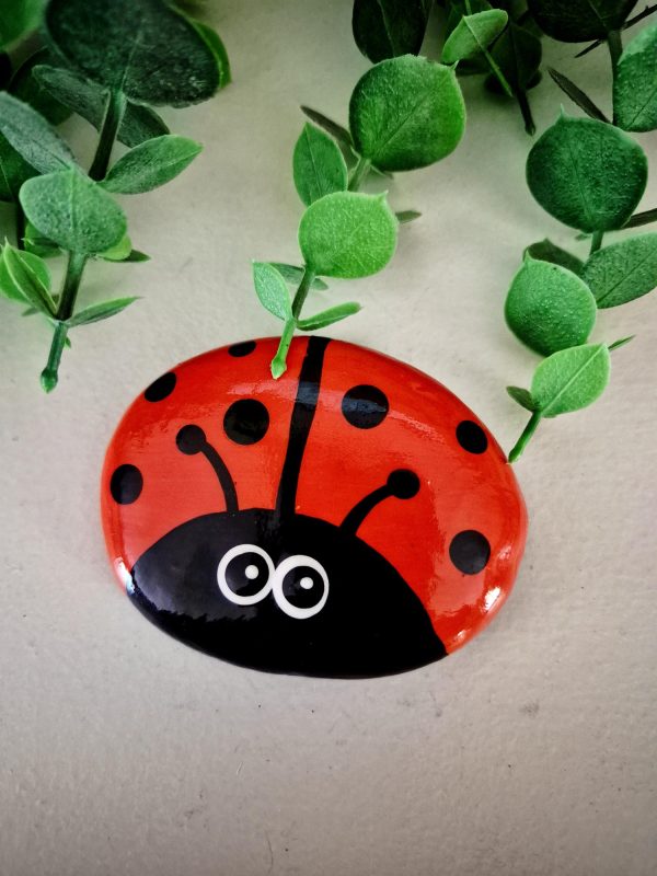 lady bug rock, ladybug gift, friendship gift, get well gift,