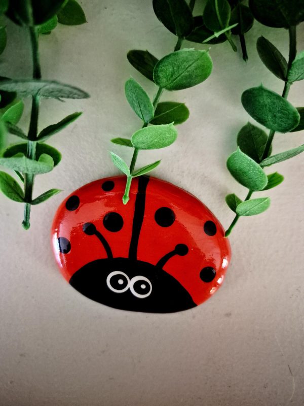 lady bug rock, ladybug gift, friendship gift, get well gift,