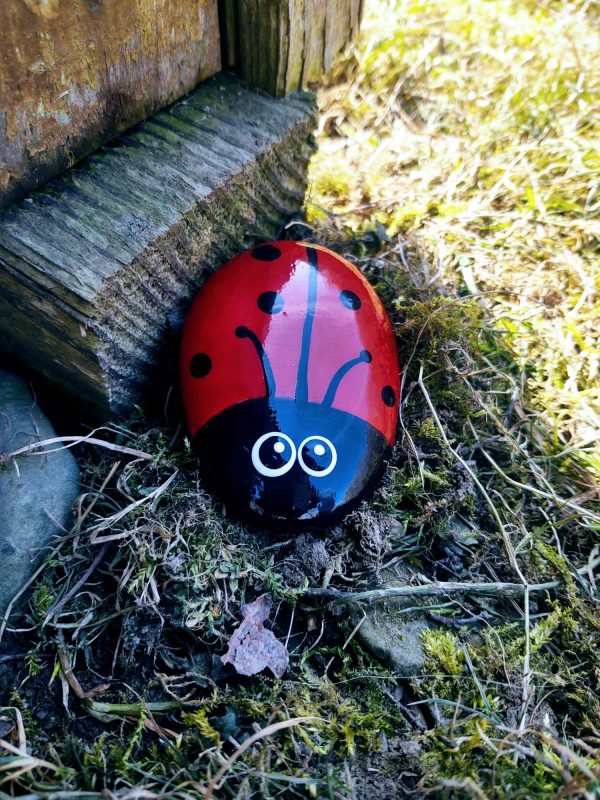 ladybug rock, paperweight, get well gift, friendship gift, ladybug gift