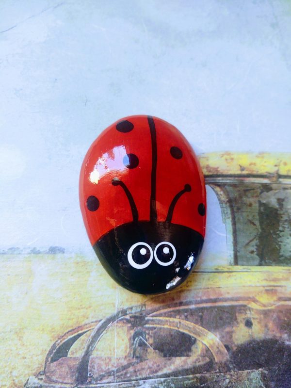 ladybug rock, paperweight, get well gift, friendship gift, ladybug gift