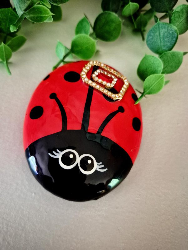 hand painted ladybug rock, get well gift, friendship gift