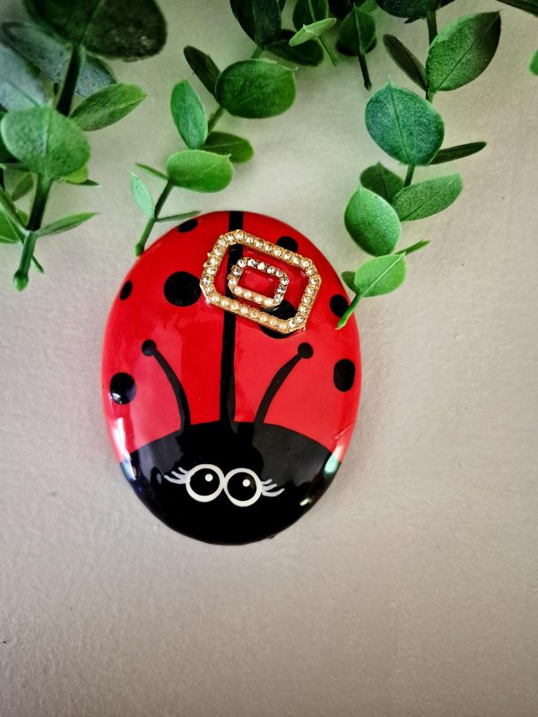hand painted ladybug rock, get well gift, friendship gift