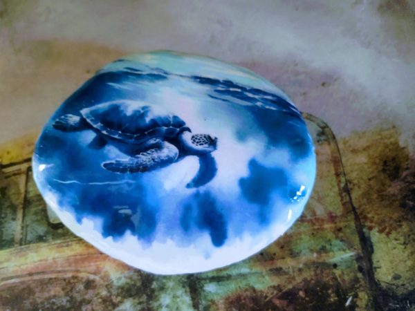 Hand Painted Sea Turtle Rock - Image 3