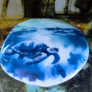 Hand Painted Sea Turtle Rock