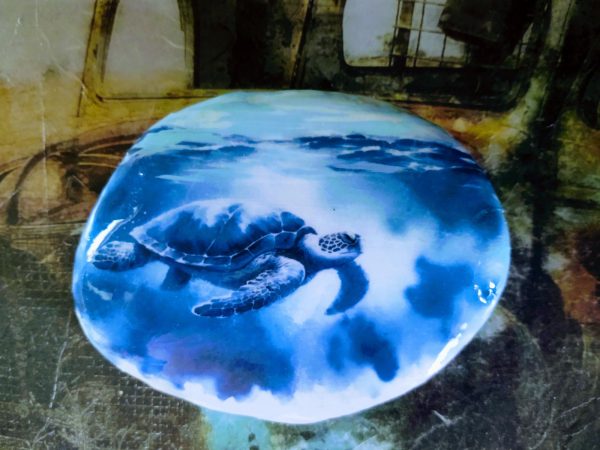 Hand Painted Sea Turtle Rock