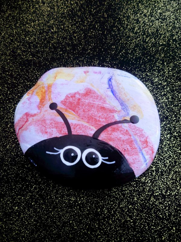 lady bug rock