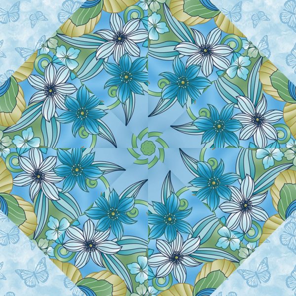 butterfly calypso