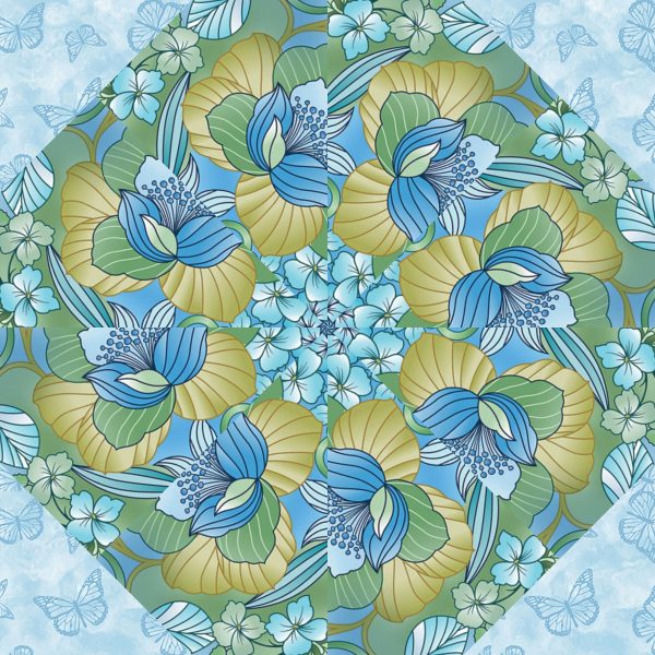 butterfly calypso