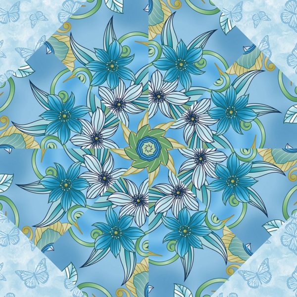 butterfly calypso