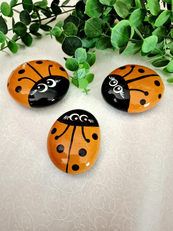 Painted Lady Bug Rocks - Light Orange (FS/F) - Image 5