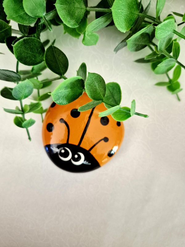 Painted Lady Bug Rocks - Light Orange (FS/F)