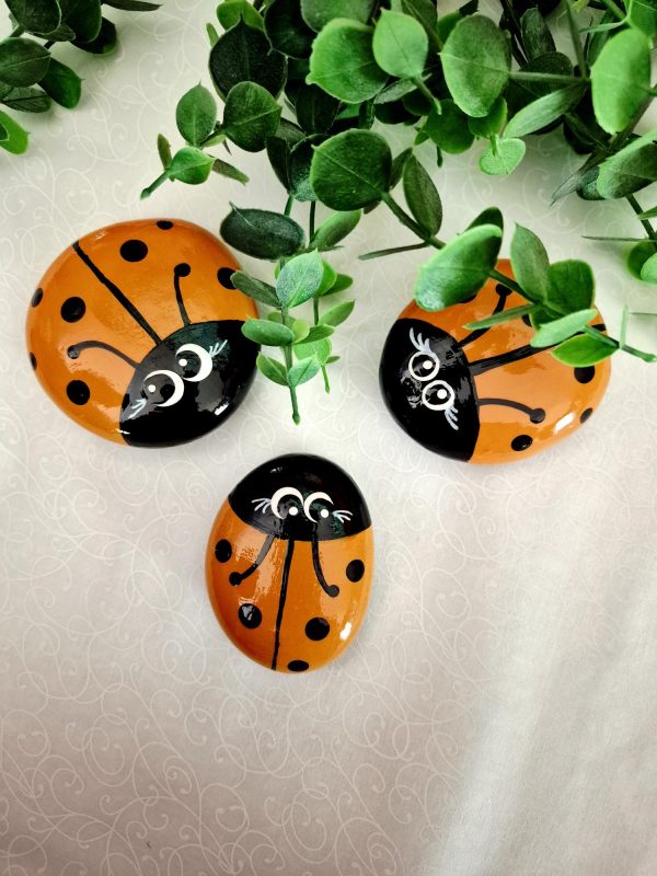 Painted Lady Bug Rocks - Light Orange (FS/F) - Image 2